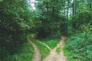 Angular: Two Paths. Two ways to solve a problem.